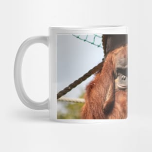 Sumatran orangutan Mug